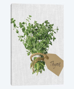 Thyme