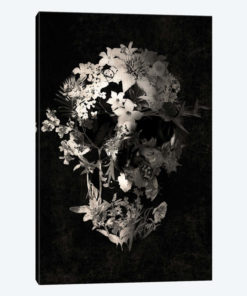 Spring Skull