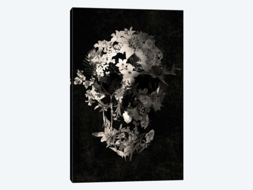 Spring Skull