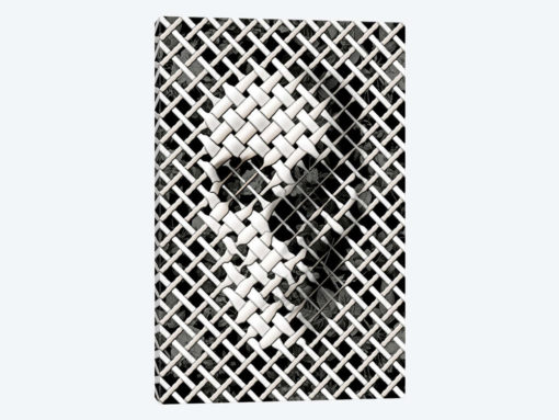 Wicker