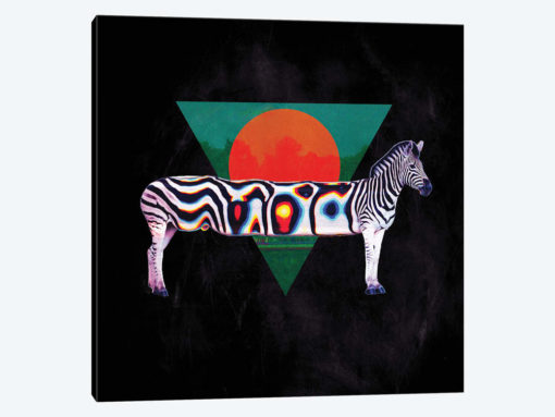 Zebra, Square