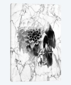 Decay
