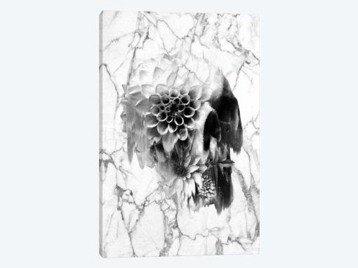 Decay