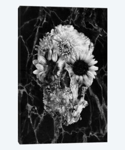 Floral Skull II
