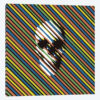Stripe Skull