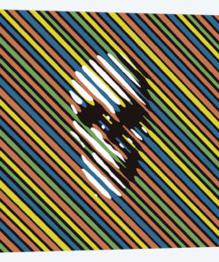 Stripe Skull