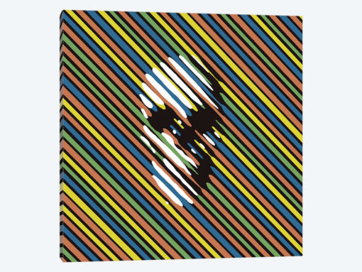 Stripe Skull