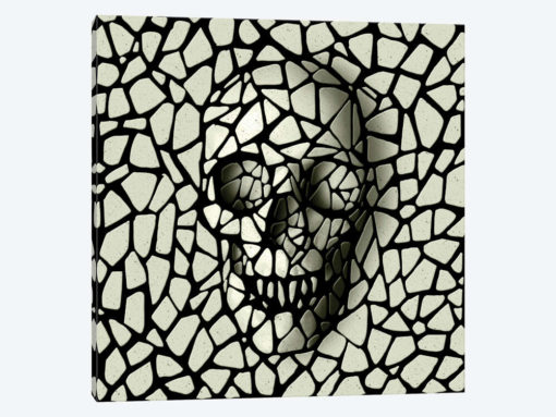 Mosaic Skull Mono