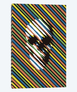 Stripe Skull Portrait