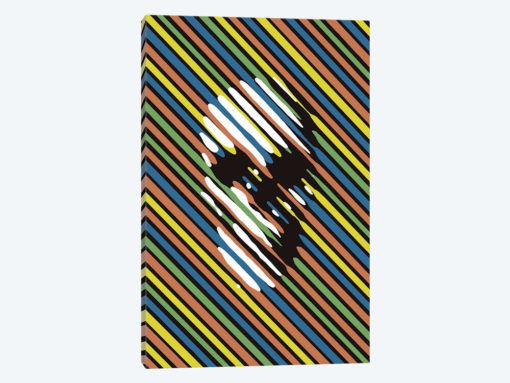 Stripe Skull Portrait