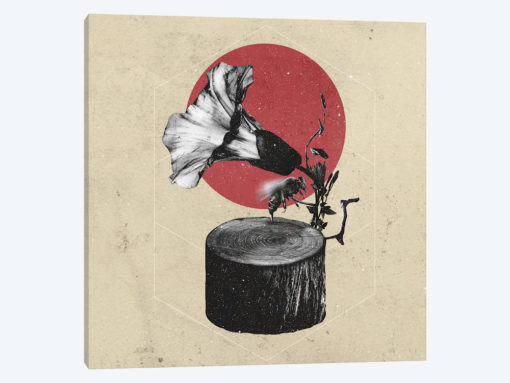 Gramophone