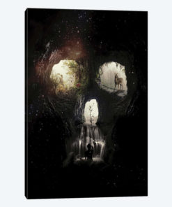 Cave Skull