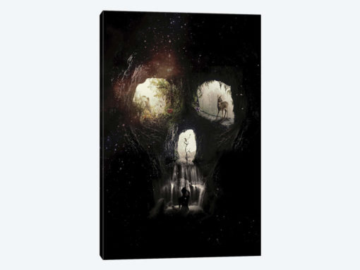 Cave Skull