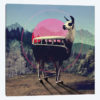 Llama