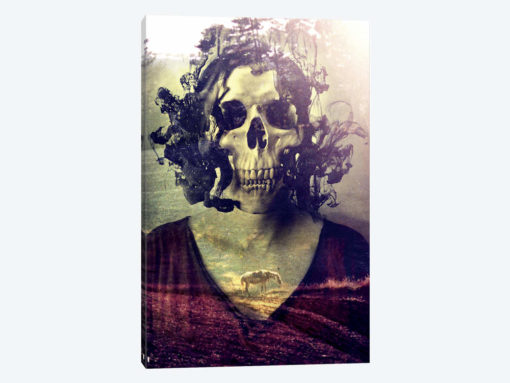 Miss Skull