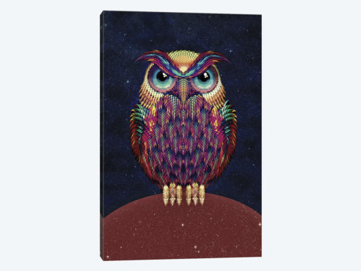 Owl #2