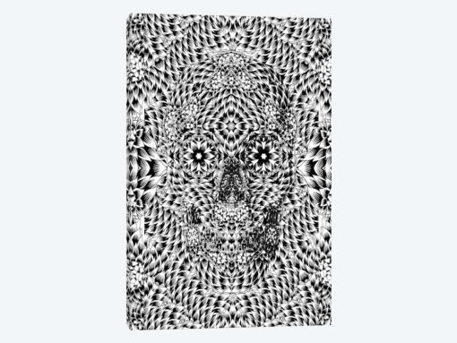Skull VII
