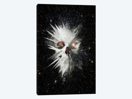 Big Bang