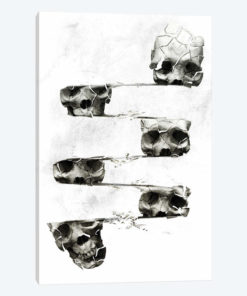 Distorted Skull