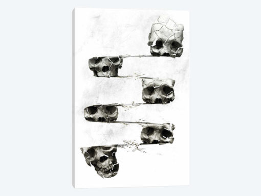 Distorted Skull