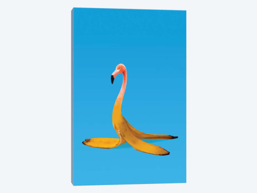 Flamingo Banana