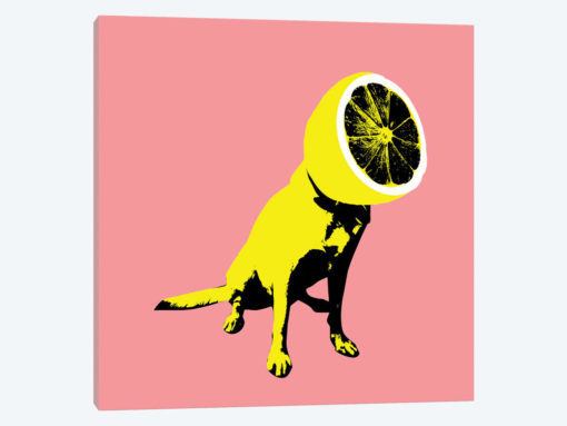 Lemon, Square