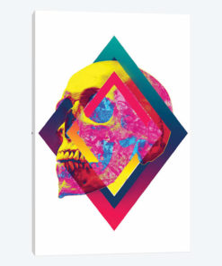 Lifeful Skull I