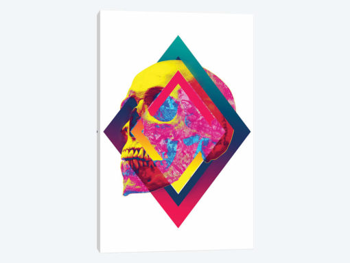 Lifeful Skull I