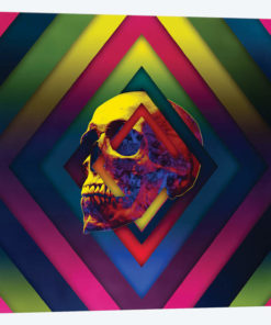 Lifeful Skull II