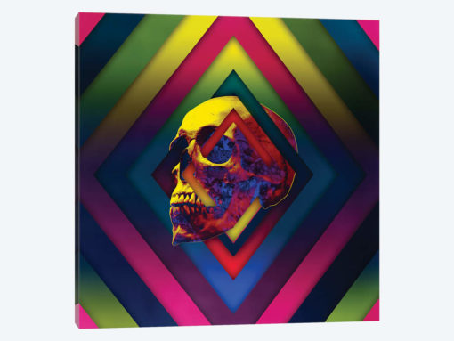 Lifeful Skull II