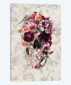 New Skull