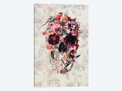 New Skull
