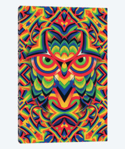 Owl 3