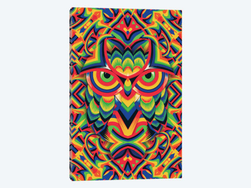 Owl 3