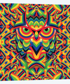 Owl 3, Square
