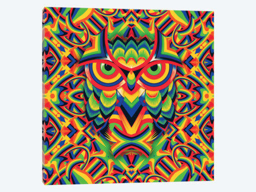 Owl 3, Square