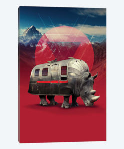 Rhino