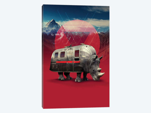 Rhino