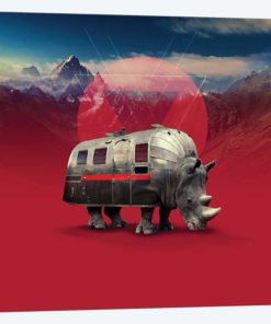 Rhino, Square
