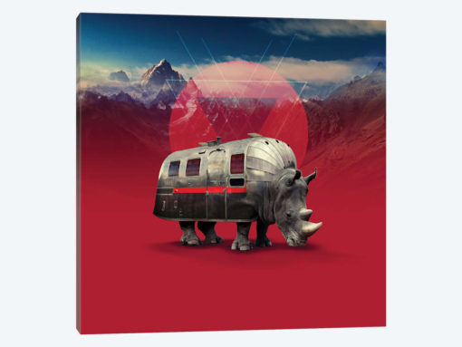 Rhino, Square