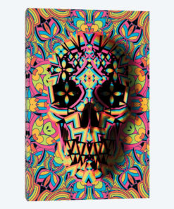 Skull Geo