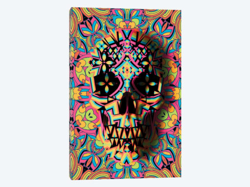Skull Geo