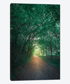 Calming Nature II