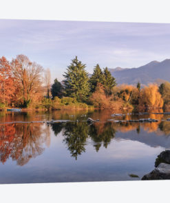 Autumn Reflections