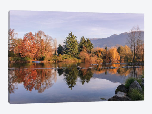 Autumn Reflections