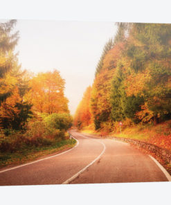 Autumn Road