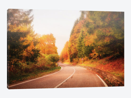 Autumn Road