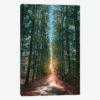 Calming Nature I