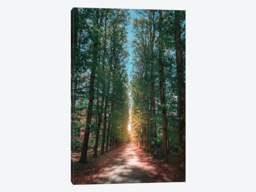 Calming Nature I