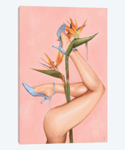 Bird Of Paradise